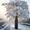 Fruit Tree Protection Wrap Palm Protector, Aluminum Foil Wrap, Trunk Guard with Outdoor Garden Insulation Drawstrings, Winter Cover for Cold