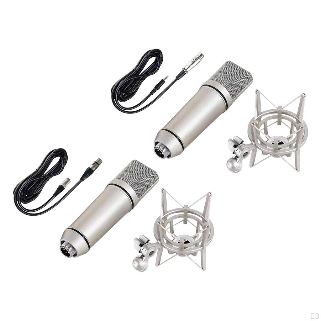 Condenser Microphone for Professional Music