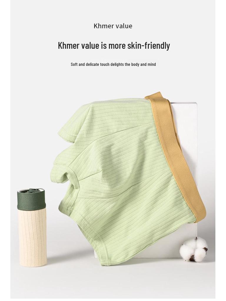 Men's Plus Size Pure Cotton Boxer Briefs - Antibacterial, Comfortable, Breathable, Mid-Rise