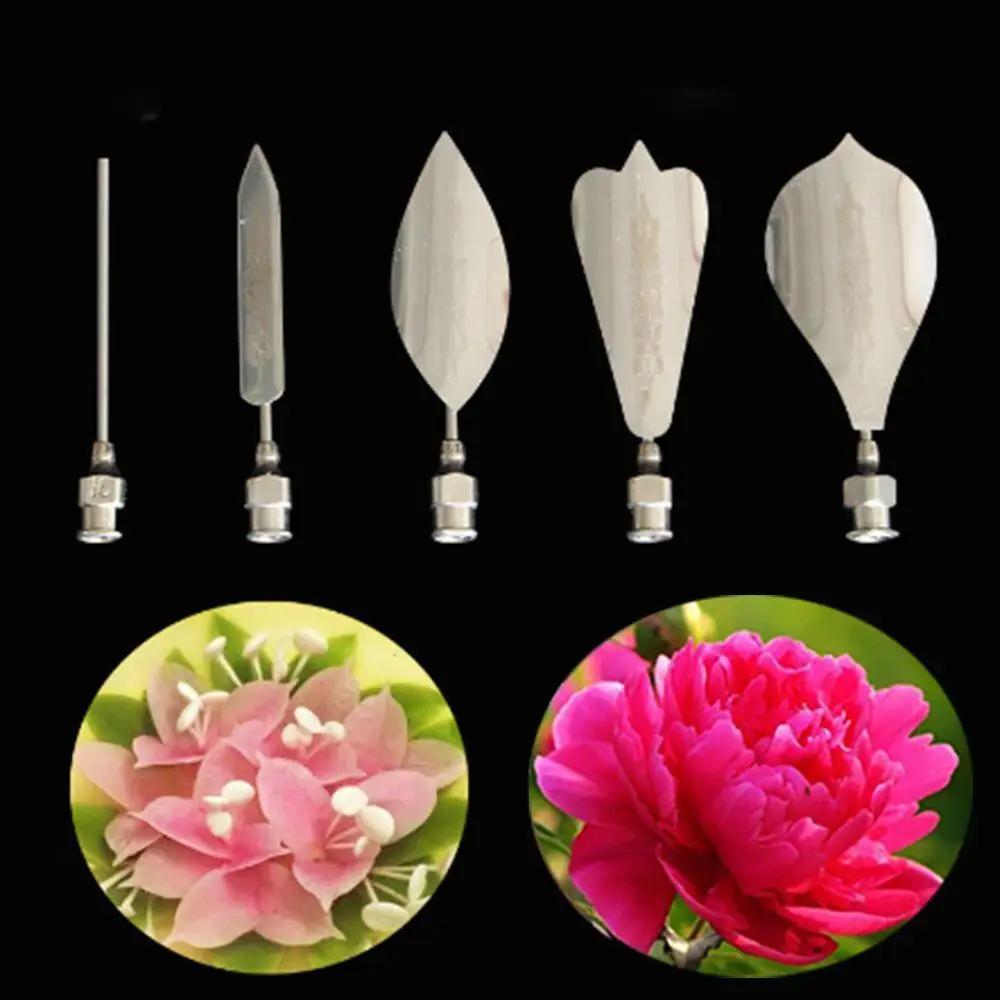 

Plum Flower 5PCS/Set 3D Jelly Art Needles Tools Jelly Cake Gelatin Pudding Nozzle Syringe Set Russian Nozzles