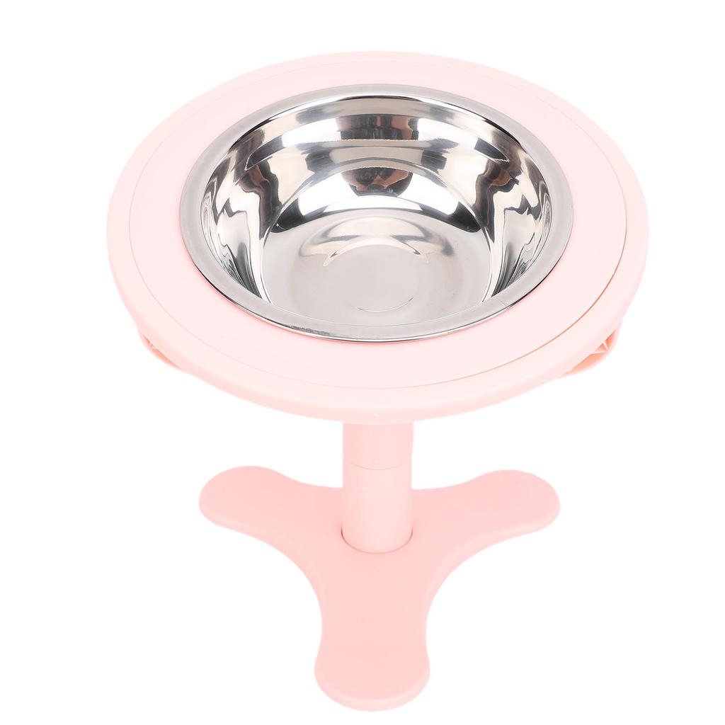 Elevated Cat Bowls with Stand 15 Tilted Stainless Steel Anti Slip Feeder for Indoor Pets