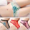 Nylon Underwear Panties Pink Purple Red Transparent