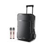 SANSUI 12-inch Portable Outdoor KTV Speaker with Microphone CN Plug (adapter Included)
