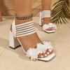 Fashion Advanced Sense Summer Fashion Heel Women's Sandals Shoes for Women 2025 New Buckle Strap Peep Toe Floral Square Heel Sandals