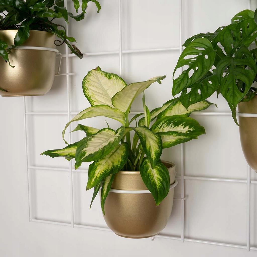Modern Metal Wall Flower Stand Hedera 3 White - Scandinavian Trellis for Wall-Mounted Pots, Modular Plant Panel Vertical Garden