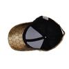 Spring Autumn Hexagon Gold Silver Baseball Cap Male Outdoor Sunscreen Sun Cap Female Ponytail Panama Cap Visor Hats Snapback Hat