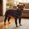 Breathable Dog Recovery Suit Dark Blue Striped Large Dog Bodysuit Dog Pajamas  Heat Cycle Care