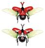 Gratis forskningsserie Kamen Rider Stronger Edition Kabutomushi Kamen Rider Stronger-spesifikasjon Plastmodell nr.214