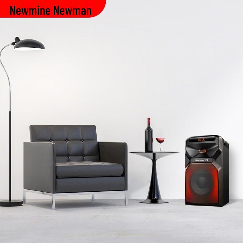 NEWMINE A2 Outdoor Bluetooth Speaker