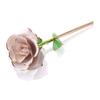 Gold Dipped Rose 24K Gold Rose Eternity Rose Flower Best for Wife Girlfriend Anniversary Mothers Day Birthday