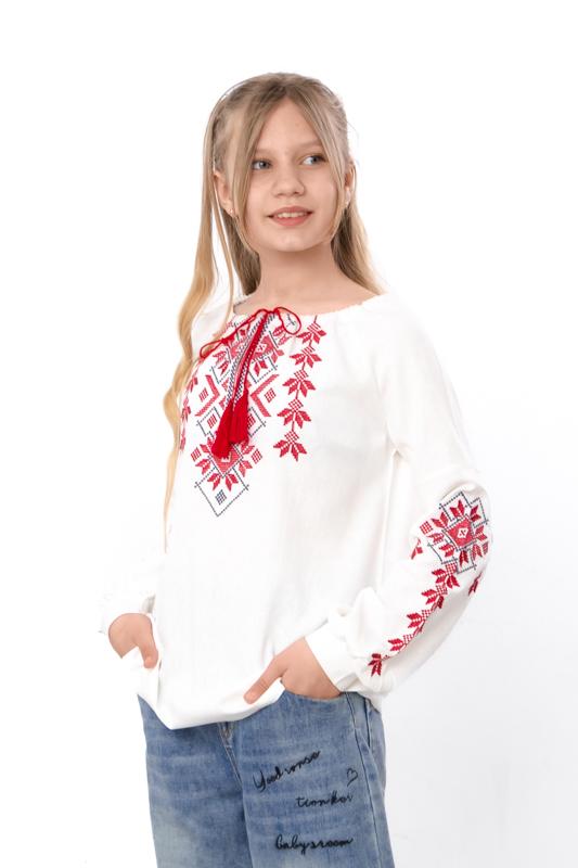 Girls' Long Sleeve Embroidered Ukrainian Vyshyvanka Shirt Any Season 6480-070-22-1 HC