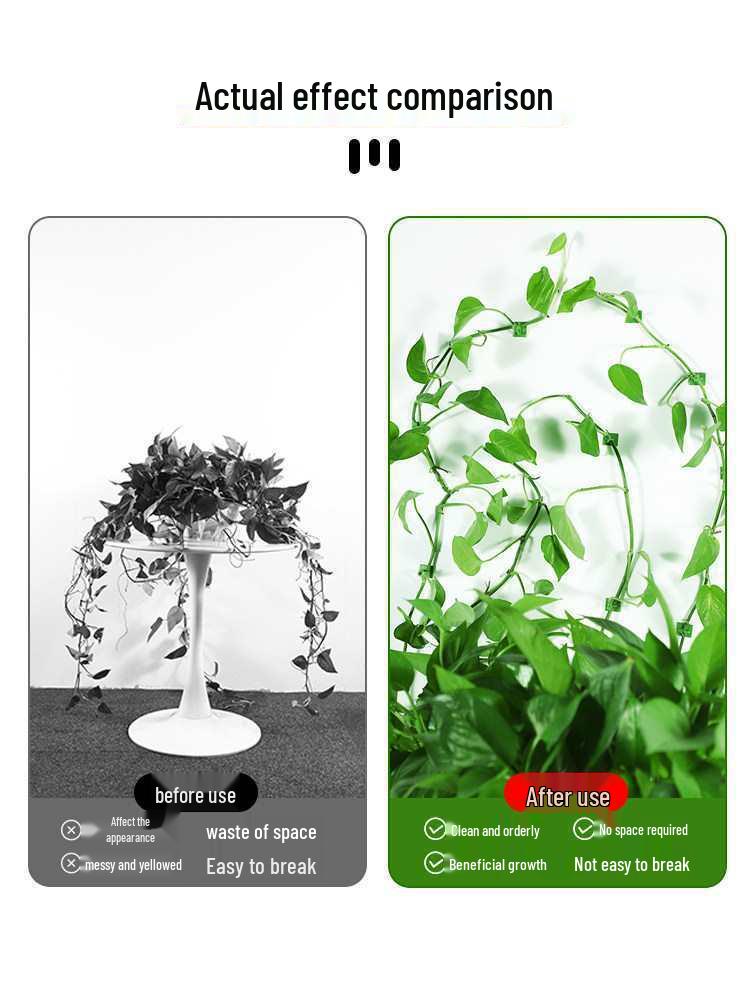 Pothos Climbing Clips: Rose Green Plant Wall Hooks for Vines