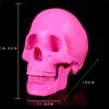 Resin Craft Skull Statues for Decoration Creative Skull Model Sculpture Home Decoration Halloween Party Decor Horror Props