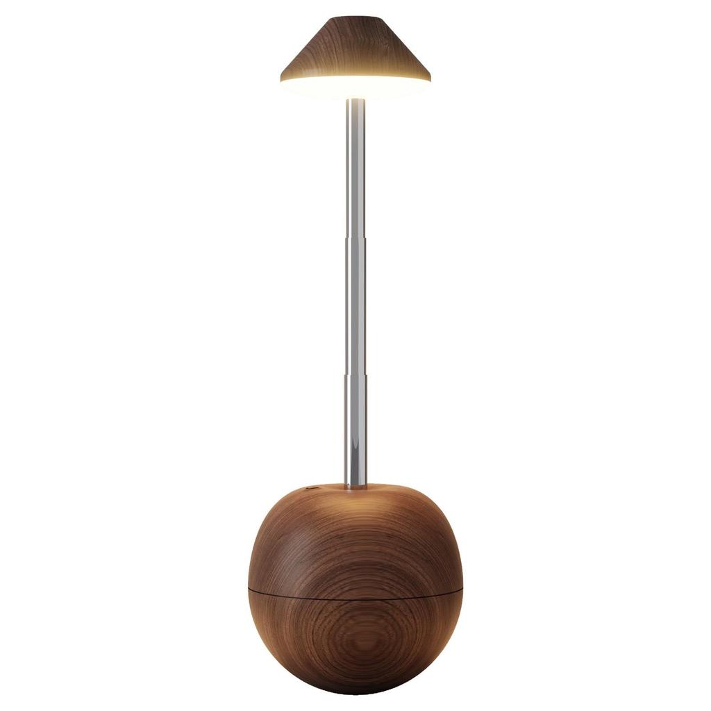 Rechargeable LED Table Lamp with Remote & Touch Control for Bedside and Hotel Decor
