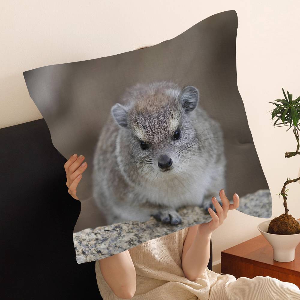 Rock Hyrax Animal Cushion Cover Pillow Cover Decor Pillowcase Printed Cushion Case for Couch