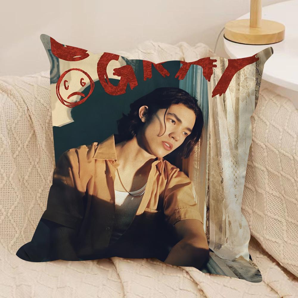 Singer C-Conan G-Gray Cushion Cover Silky Short Plush Invisible Zipper Dustproof Sofa Pillow Case For Home Decor
