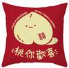 Modern Chinese Wedding Pillow Short Plush Double-sided Wedding Sofa Cushion Cover Wedding Room Red Festive Pillow