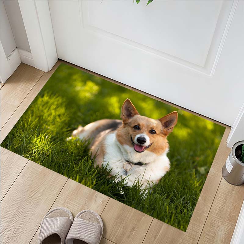 Cute Husky Puppies Doormat, Two Fluffy Dogs Non-Slip Floor Mat for Pet Lover Home Decor