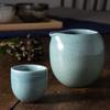 Marui Pottery Shigaraki Ware Hechimon Sake Pitcher, Approx. 430ml Capacity, Glossy Blue, MR-3-4306