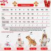 New Year's Pet Clothing Fleece Two-legged Cat Sweater Dog Cat Clothing Teddy Dog Supplies Clothing