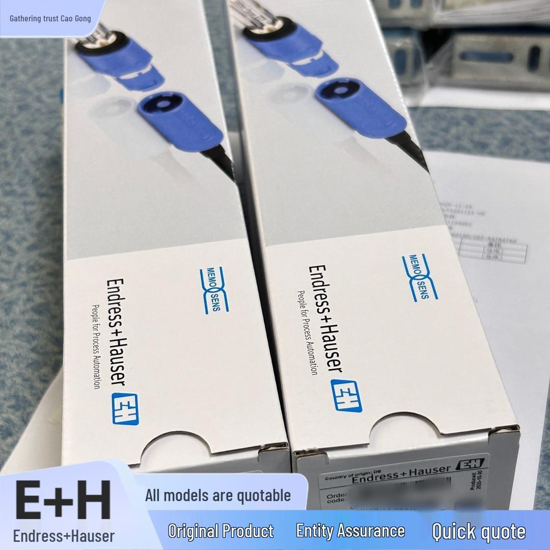 

Endress+Hauser FTL31 Tuning Fork Level Switch In Stock