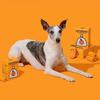 Orange Capsule Toilet Outdoor Thick Cleaning Portable Feces Bag Cute Pet with Fragrance Cleaning Supplies Hanging Buckle Pet Supplies Garbage Bag