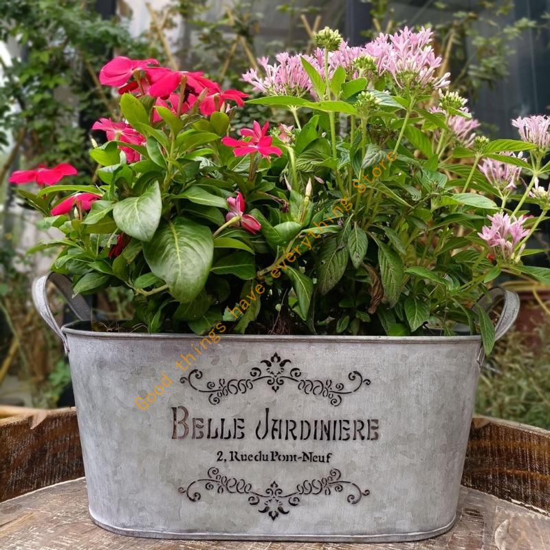 Metall Eimer Pflanzgefäß mit Doppelgriffen Eisen Blumentopf Metall Tablett zur Aufbewahrung 55KF