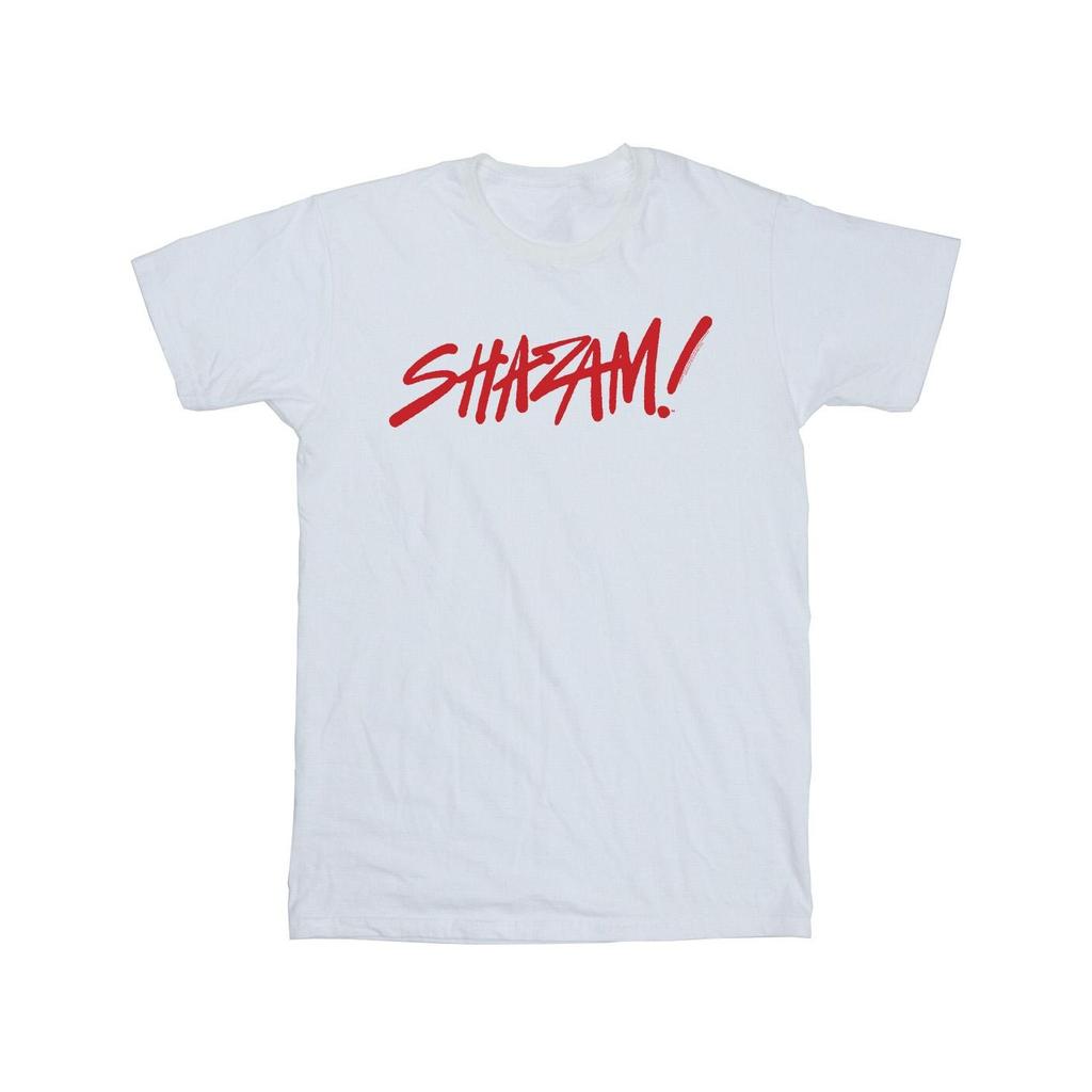 DC Comics Mens Shazam Fury Of The Gods Spray Paint Logo T-Shirt