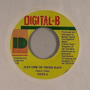 7inch Record SIZZLA - Just One Of Those Days NONE Digital-B 2004 Jamaica Reggae, Ska & Dub Used