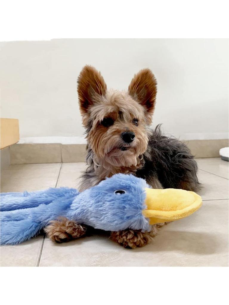 Little Yellow Duck Plush Squeaky Dog Toy - Durable & Bite-Resistant Stress Reliever