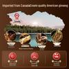 Jiuzhitang American Ginseng Tea Gift Box (50 Sachets)