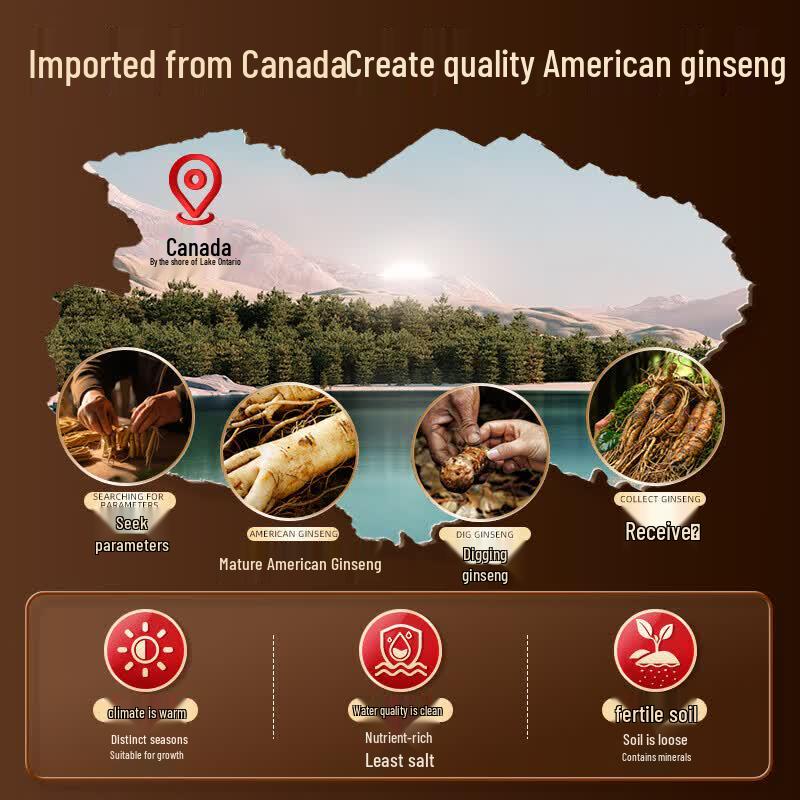 Jiuzhitang American Ginseng Tea Gift Box (50 Sachets)