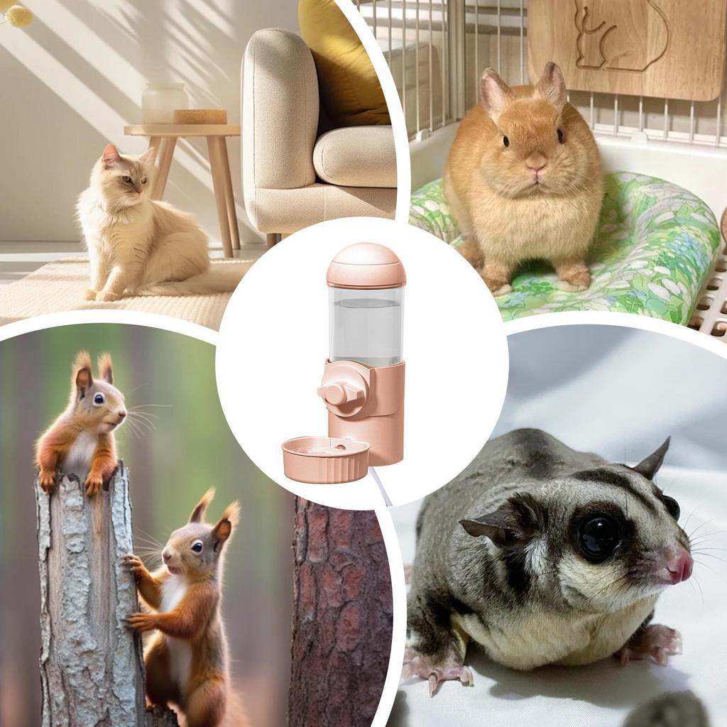Heated Cat Water Bowl Thermostatic Siphon Chinchilla Drinking Supplies Chinchilla Cage Drinking Bottle For Pet Parents