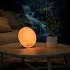 Sunrise Simulation Alarm Clock Wake Up Light 7 Natural Sounds 8 Sleep Music FM Radio Dual Alarms Snooze Colorful RGB Ambient Light