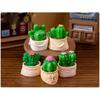 Landscape Creative Micro Cactus Decorations Toy Accessories Ornaments Desktop