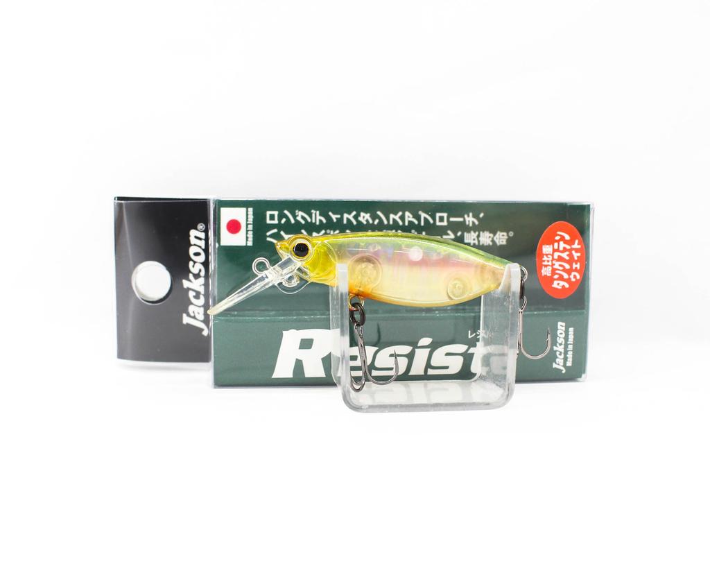 Jackson Resist 45 Floating Lure GDM (6650)