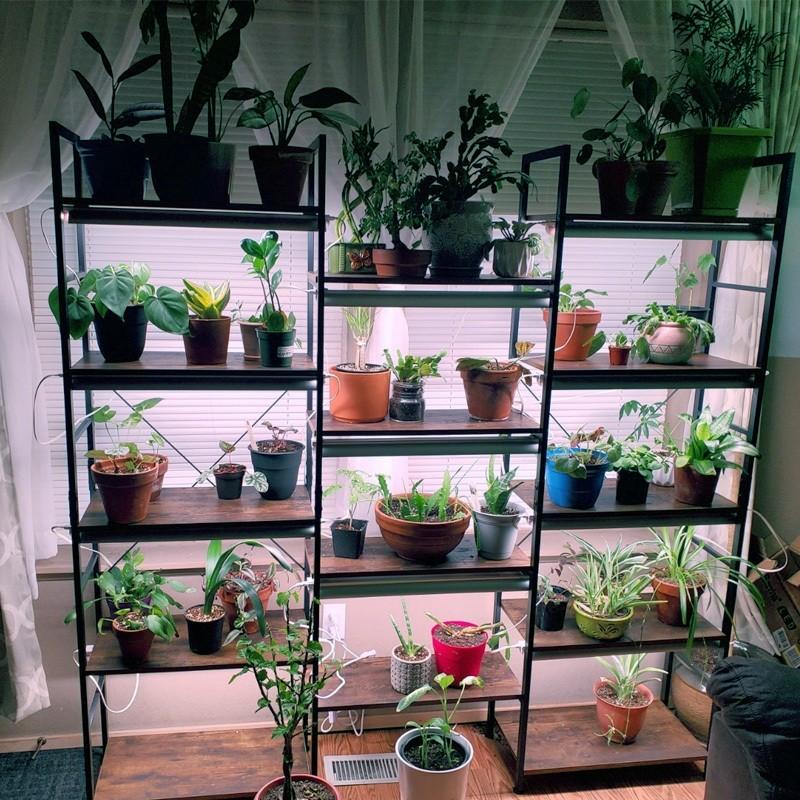 T8/T20 LED Grow Light Full Spectrum Hydroponic Seedling Plant Lamp Indoor Plant Growth Supplementary Lighting Equipment