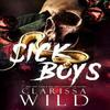 Sick Boys by Clarissa Wild Paperback Book 9789083337005