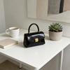Pu Small Square Bag With Top Flap For Daily Casual Street Fashion