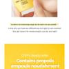 CNP Laboratory - Propolis Lipcerin