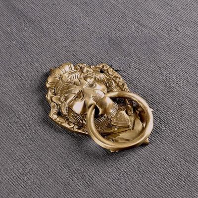 Heurtoir de porte en laiton victorien, Heurtoir de porte lion, Heurtoirs de porte pour porte principale, Marron antique, Standard, Paquet de 1 Neuf