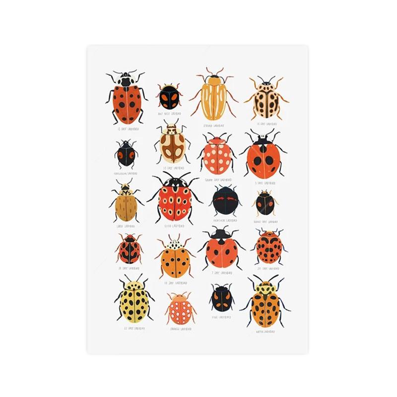 

Бабочка, божья коровка, гусеница, весенняя моль, постеры и принты, современные картины на холсте с изображением растений, настенное искусство для гостиной, домашний декор 21x30cm No Framed