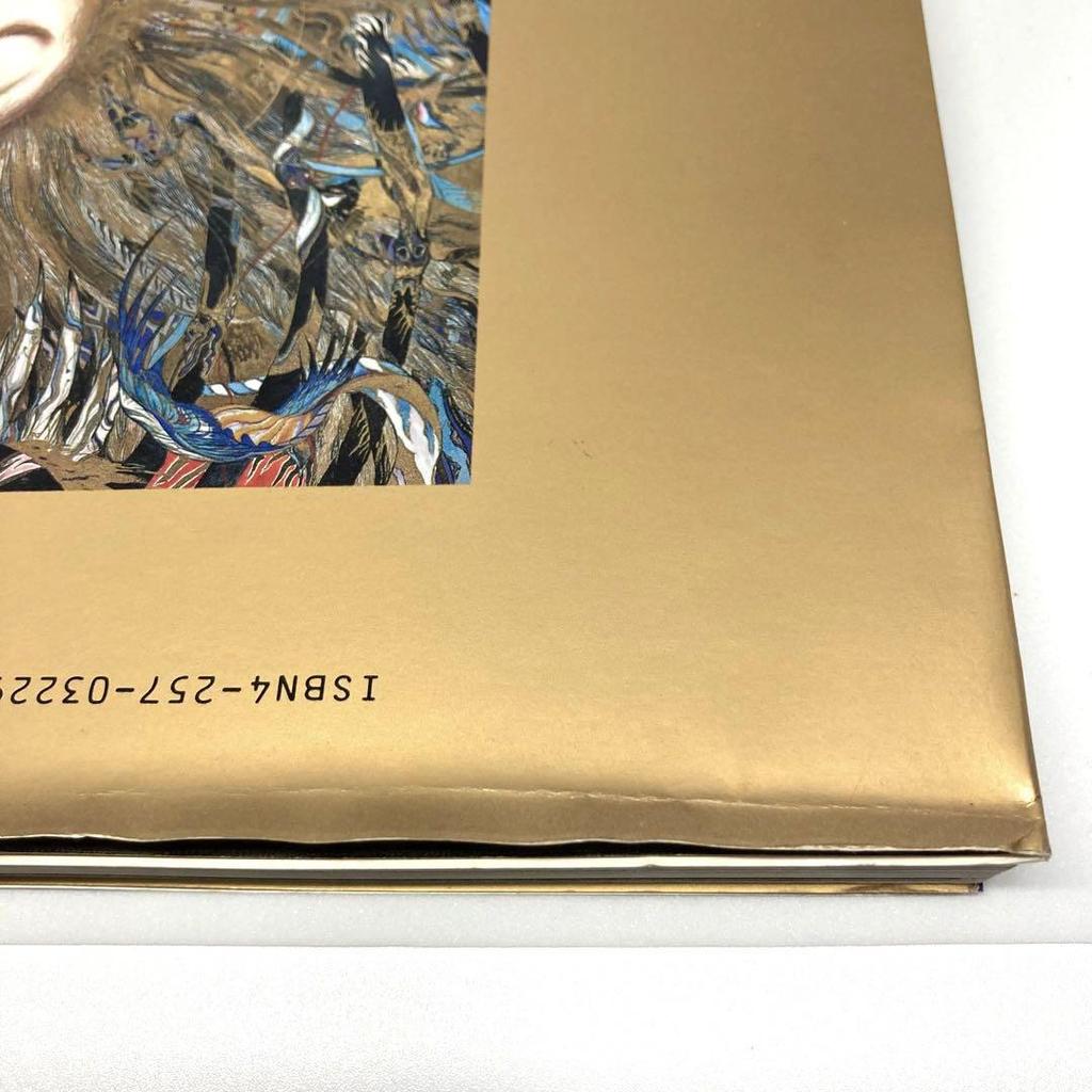 [USED] Yoshitaka Amano Hiten and Maten Art Book Set of 2
