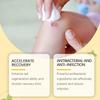 Bee Venom Body Cream Gentle Formula Soothes Discomfort Moisturizes Daily Massage Cream