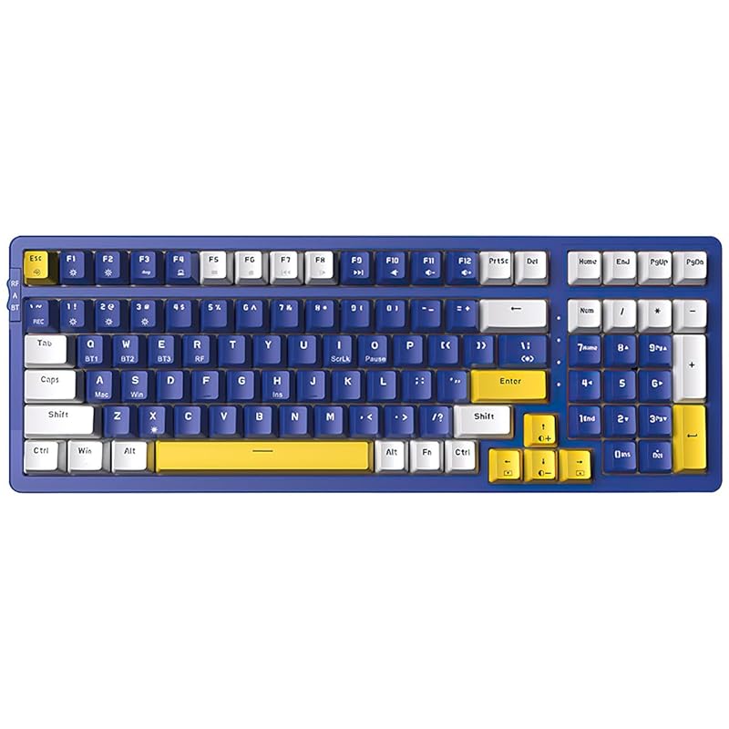 

Merdia mechanical keyboard Type-c wired connection 2.4G 100 keys independent key switch LED backlight English sequence ABS material For Mac & Win Dark