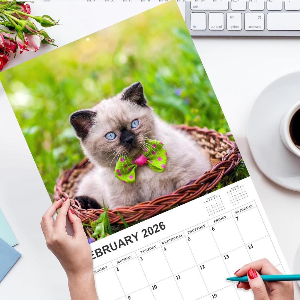 2026-2027 Calendar - 18 Monthly 2026-2027 Wall Calendar, Jan. 2026 - Jun. 2027, Cat Calendar with Unruled Blocks, Wall Calendar for Office School
