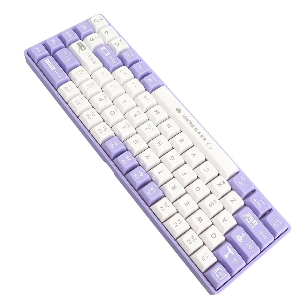 68 Keys Wired Mechanical Gaming Keyboard Hot Swappable Dynamic Backlighting Red Switch Mechanical Keyboard for Gaming