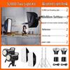 Godox SL100D LED Studio Video Light 2-Light Kit