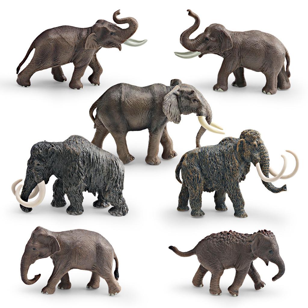 Animal Wildlife Model Toy For Kids Educational Decor And Collectors