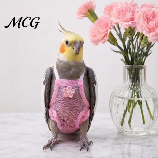 Parrot Travel Harness Diaper Clothes with Leash, Flight Diaper, Reusable Nappy Clothes, Outdoor Training for Parakeet Budgies Conure Lightweight